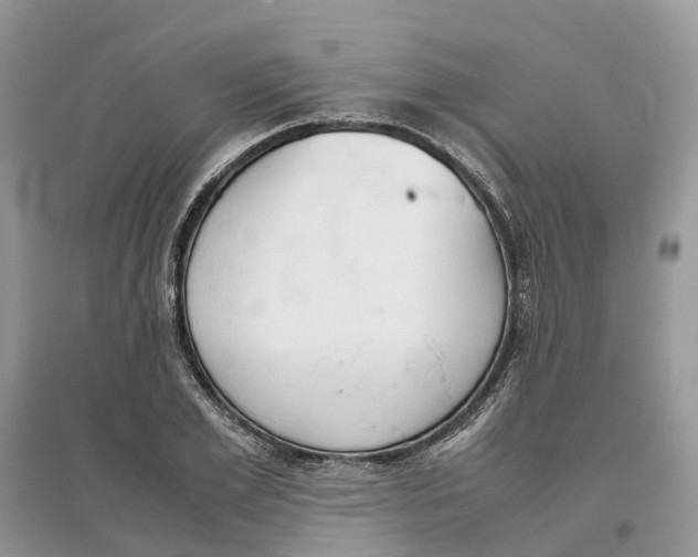 X0000097300981200803071749