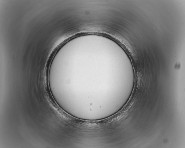 X0000097300982200803071749