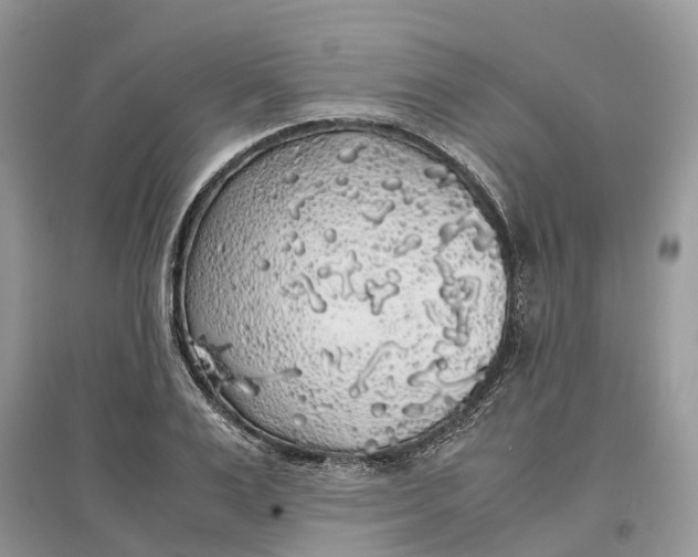 X0000097300983200803071749