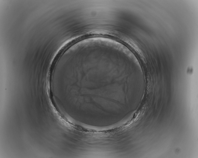 X0000097300984200803071749