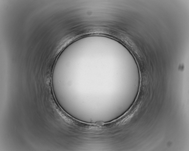 X0000097300985200803071749