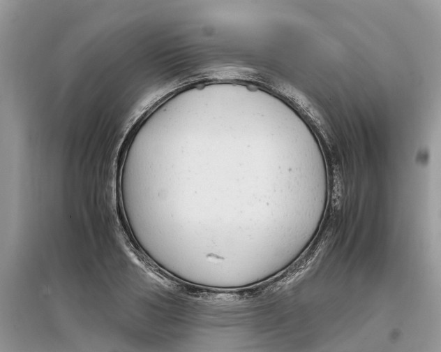 X0000097300986200803071749