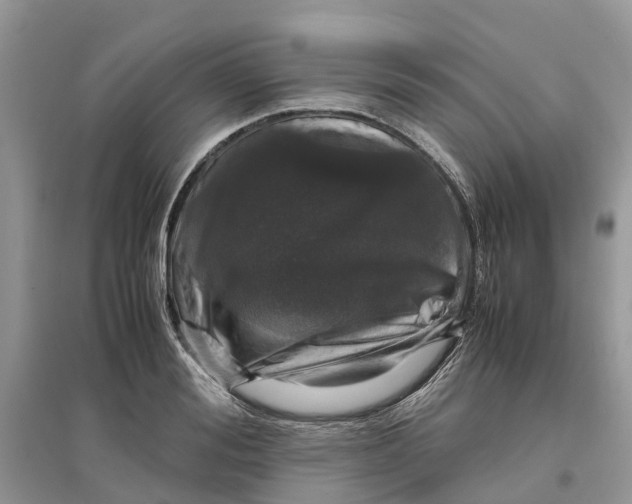 X0000097300988200803071749