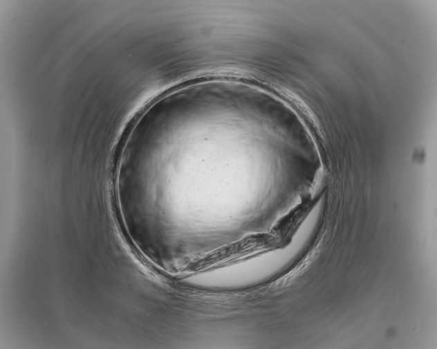 X0000097300989200803071749