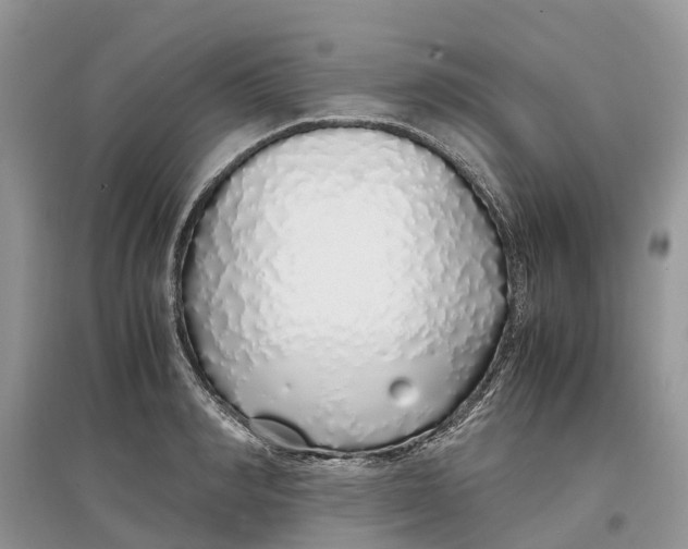 X0000097300990200803071749