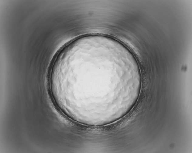 X0000097300991200803071749