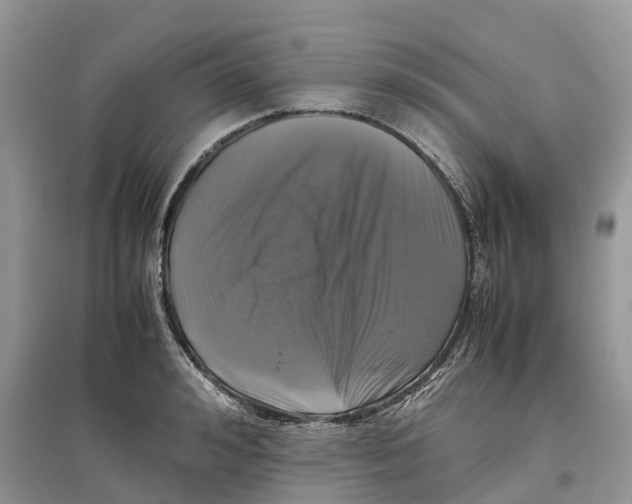 X0000097300992200803071749