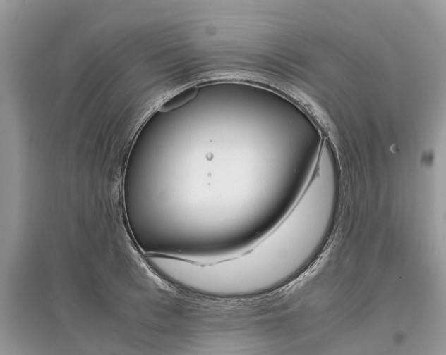 X0000097300993200803071749