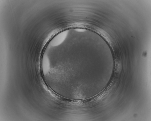 X0000097300994200803071749