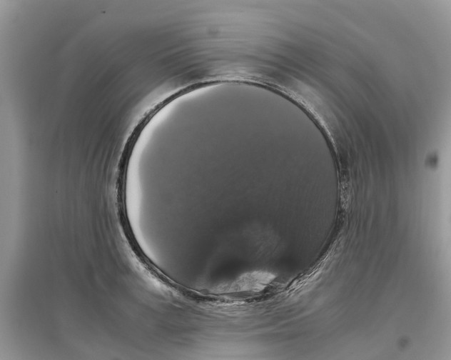 X0000097300995200803071749