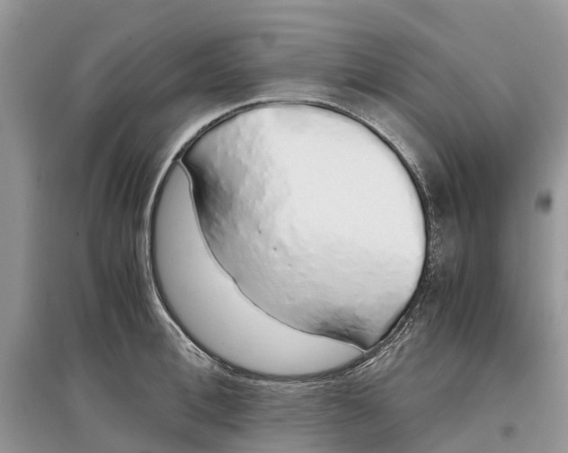 X0000097300996200803071749