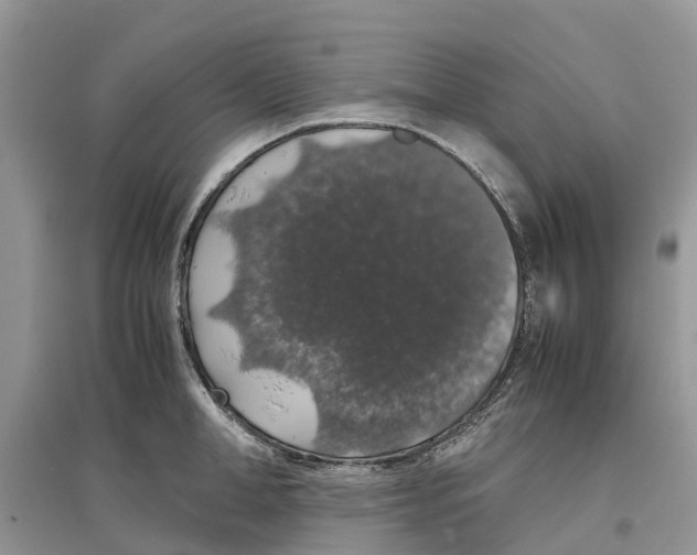 X0000097300998200803071749