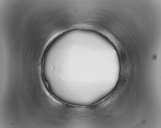 X0000097300999200803071749