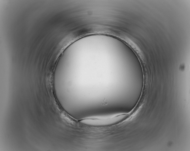 X0000097301001200803071749