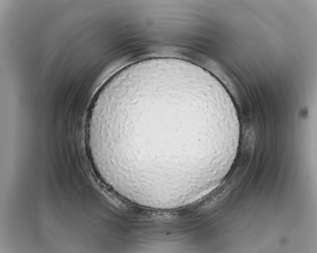 X0000097301002200803071749