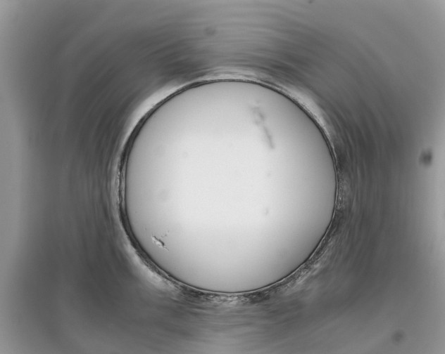 X0000097301003200803071749