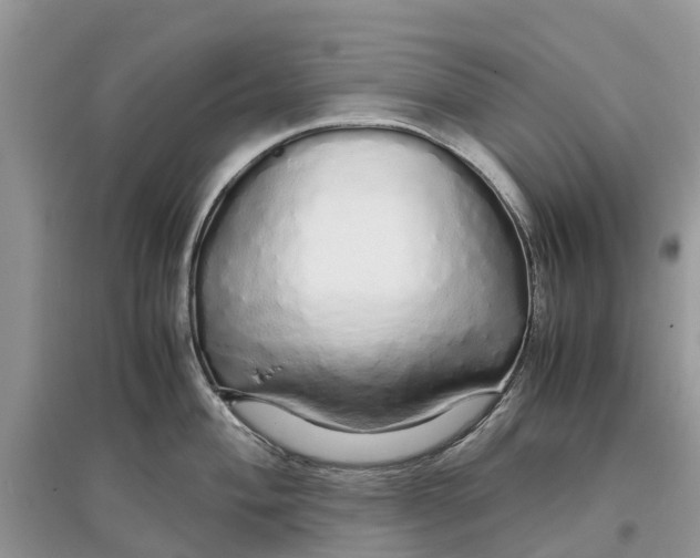 X0000097301004200803071749