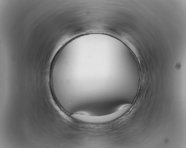 X0000097301005200803071749