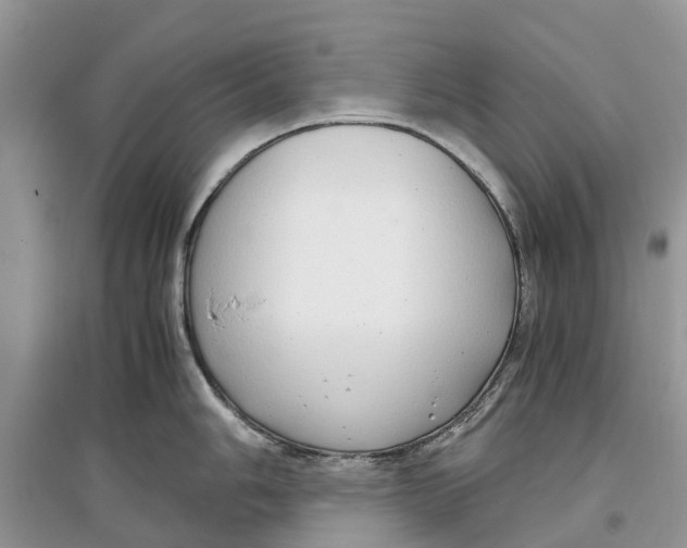 X0000097301006200803071749