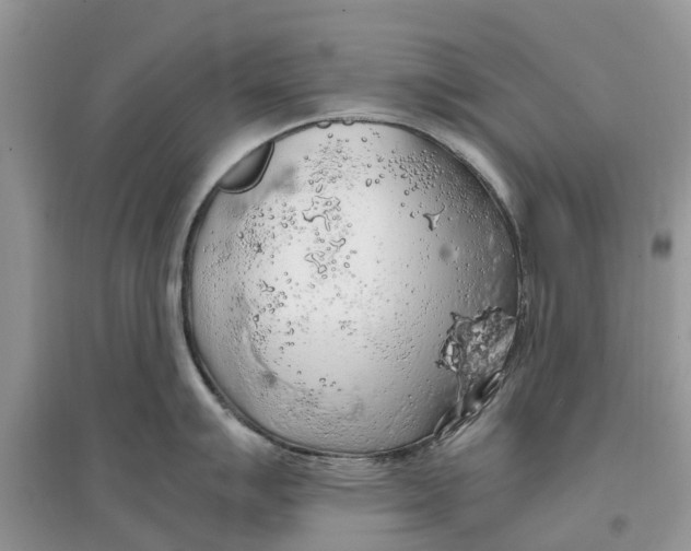 X0000097301007200803071749