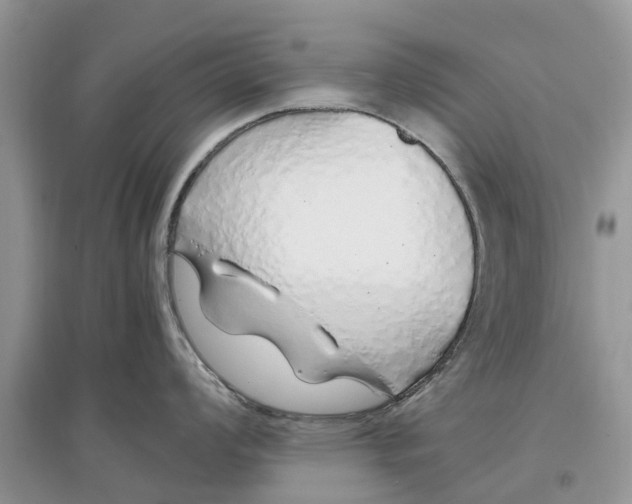 X0000097301008200803071748