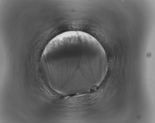 X0000097301009200803071748