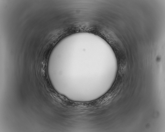 X0000097301010200803071748