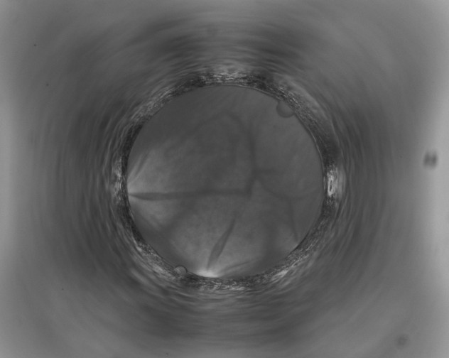 X0000097301011200803071748