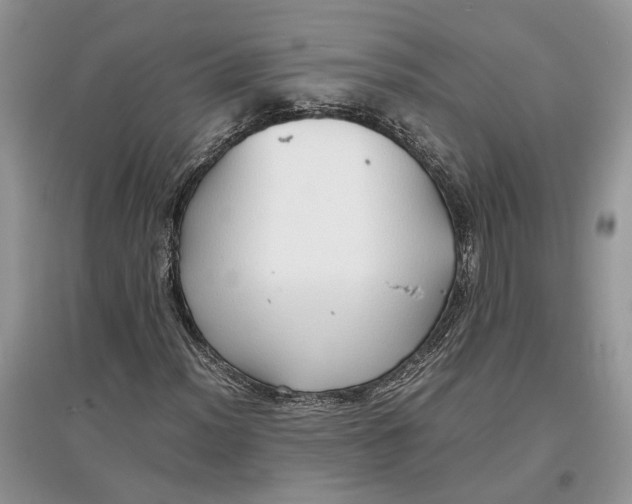 X0000097301012200803071748