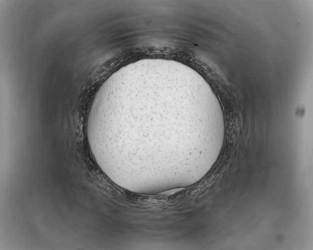 X0000097301013200803071748