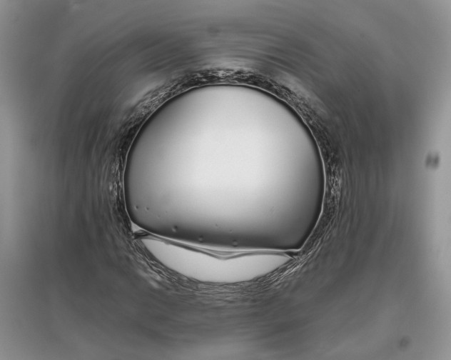 X0000097301014200803071748