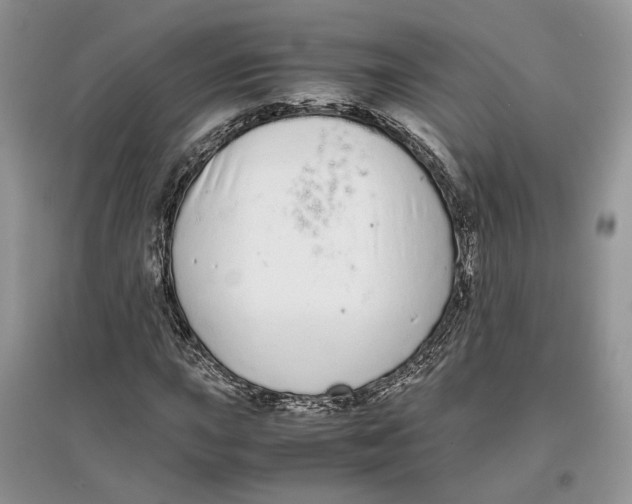 X0000097301015200803071748