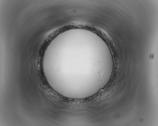 X0000097301016200803071748