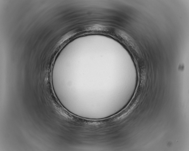 X0000097301017200803071748