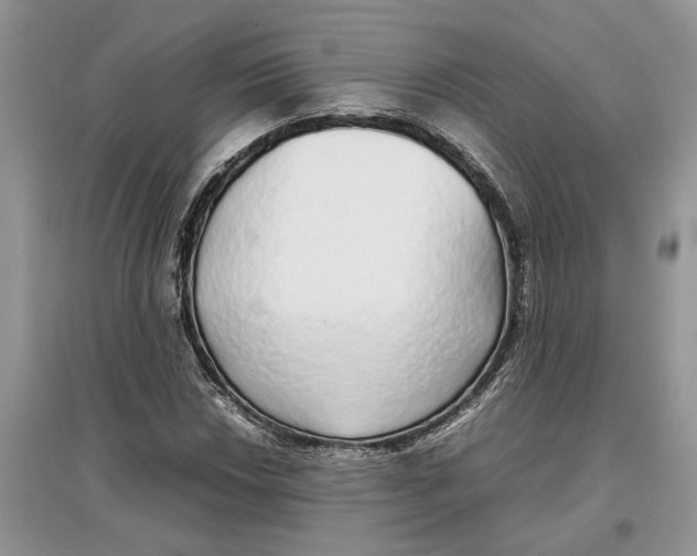 X0000097301018200803071748