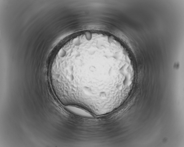 X0000097301019200803071748