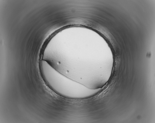 X0000097301020200803071748