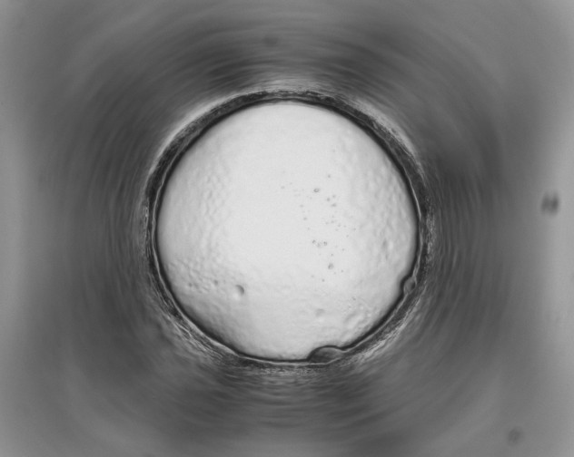 X0000097301021200803071748