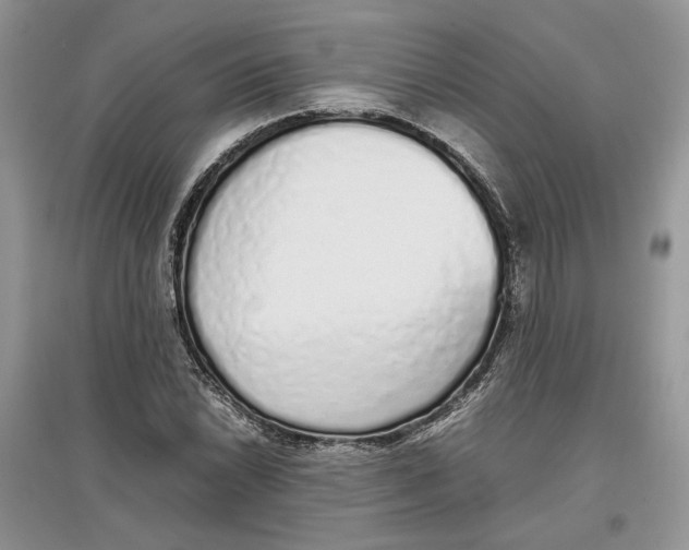 X0000097301022200803071748