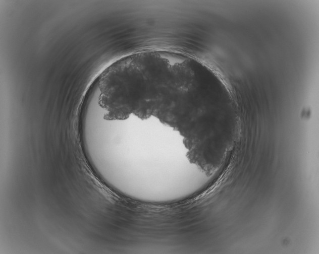 X0000097301023200803071748