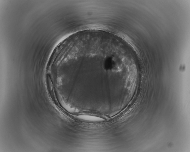 X0000097301024200803071748