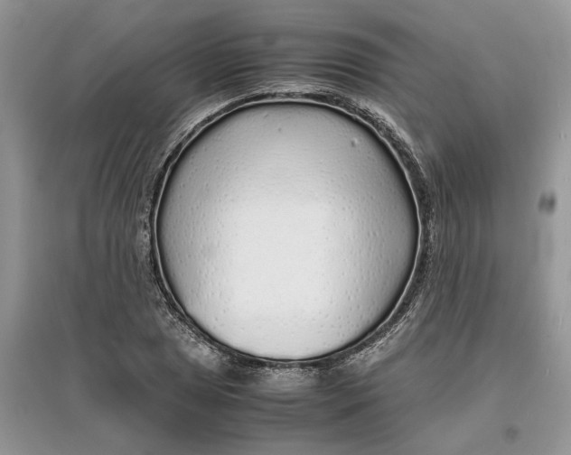 X0000097301025200803071748