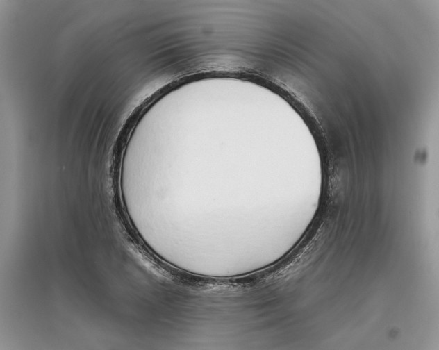 X0000097301026200803071748