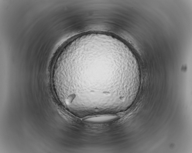 X0000097301027200803071748