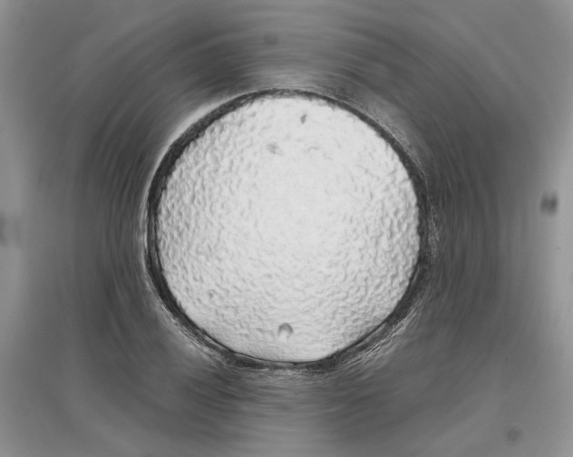 X0000097301028200803071748