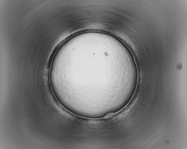 X0000097301029200803071748