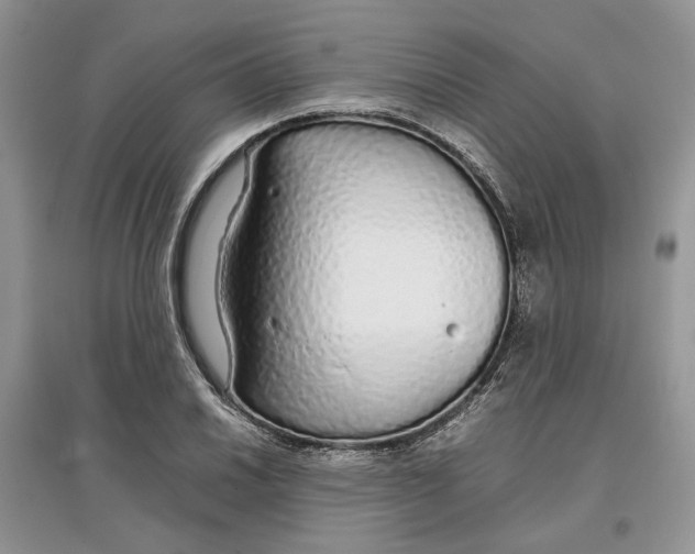 X0000097301030200803071748