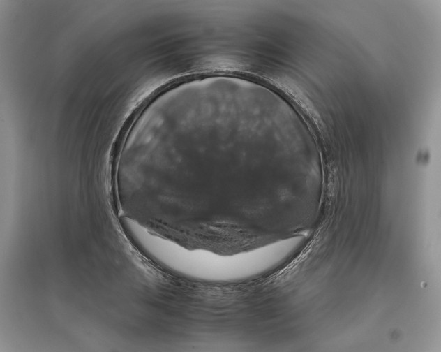 X0000097301031200803071748