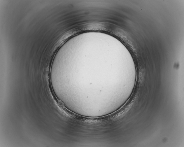 X0000097301033200803071748