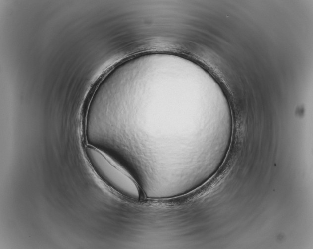 X0000097301034200803071748